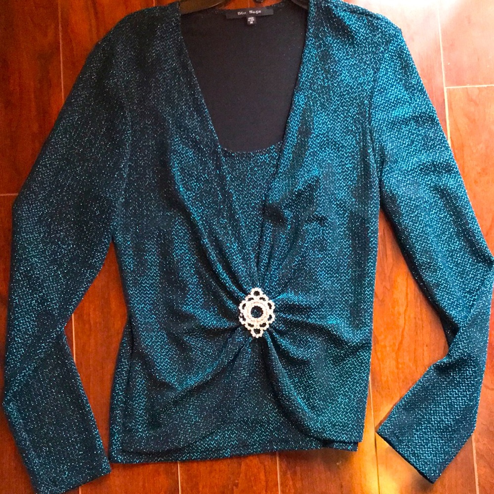 Blue sage dress party blouse